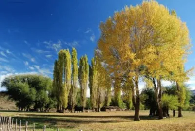 En AluminÃ©. NeuquÃ©n. Argentina