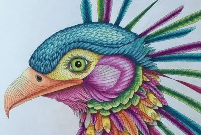 Colorful Bird