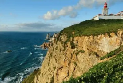 bonito jigsaw puzzle