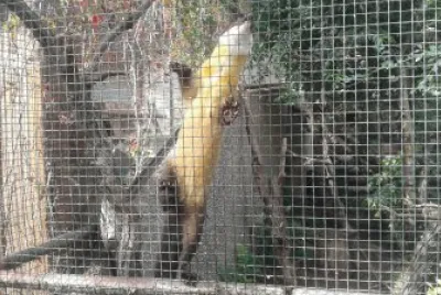 Zoo Cutie