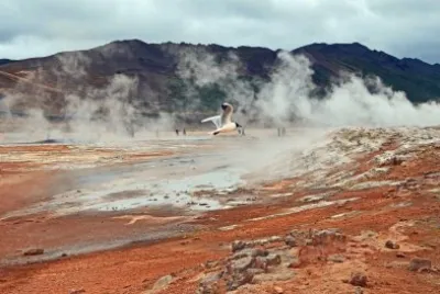 פאזל של island