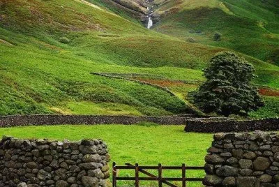 פאזל של imagens