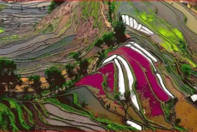 פאזל של ARROZALES EN CHINA