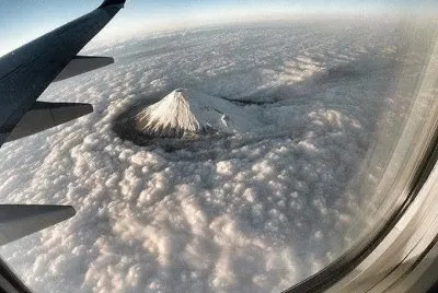 belleza jigsaw puzzle