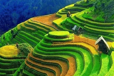 imagens jigsaw puzzle