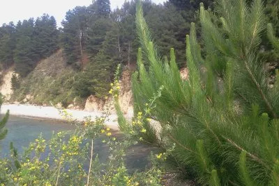 פאזל של Paisaje