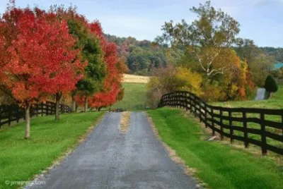 פאזל של NATUREZA