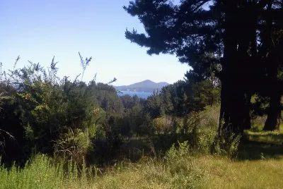 פאזל של Paisaje