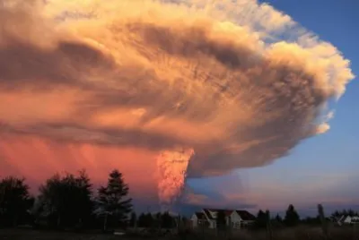 natura jigsaw puzzle