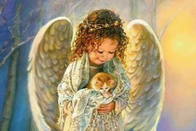 amor