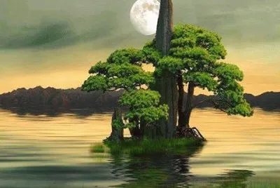 פאזל של imagens