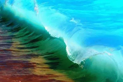 imagens