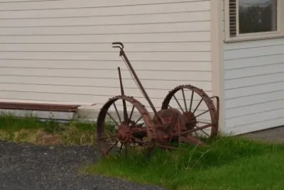 island pferd
