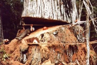 crazy people jigsaw puzzle