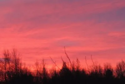 Sunrise from our backyard this morning