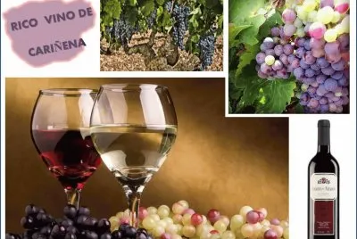 RICO VINO DE CARIÃ‘ENA