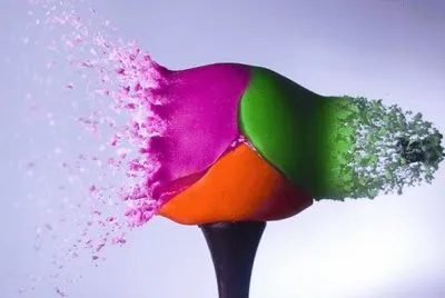 2.