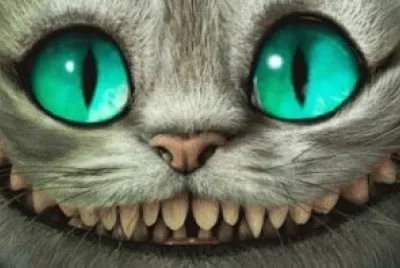 GATO SONRIENTE