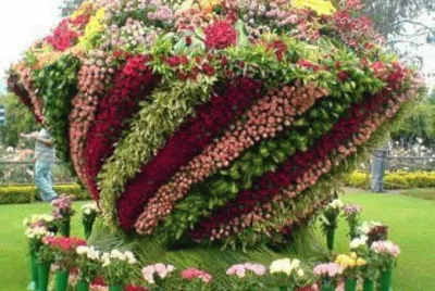 flores