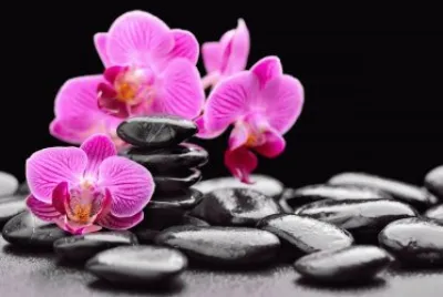 zt 7tf 765f7if68 7ifi7f