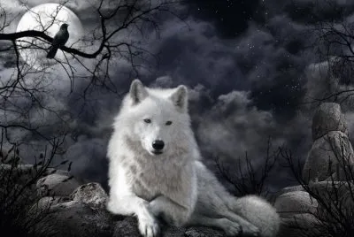 87zn76 gt gft7f68 6 i jigsaw puzzle