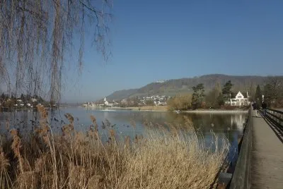 Insel Werd mit Kloster