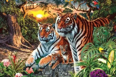 3 56 f5 56r r56r 45 56r