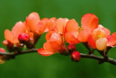 98z 6tr56 di7e45z dtrfch zr 4stxf