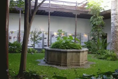 Patio canario