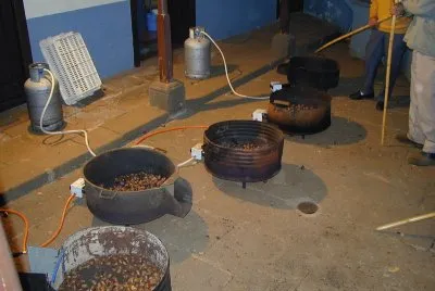 Asando CastaÃ±as. Finaos 2004. Osorio. Teror