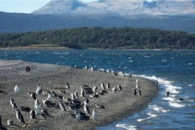 Cerca de Ushuaia. Tierra del Fuego. Argentina jigsaw puzzle