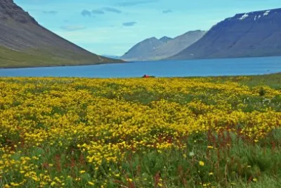 island jigsaw puzzle