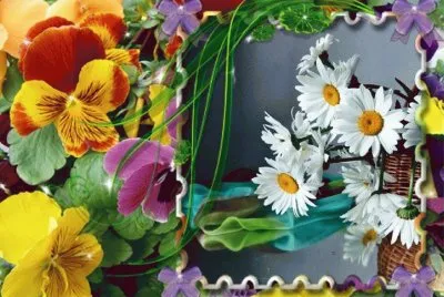 rrr rrr rrrrrrr  rrrrr rrr r r