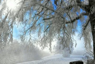 imagens jigsaw puzzle