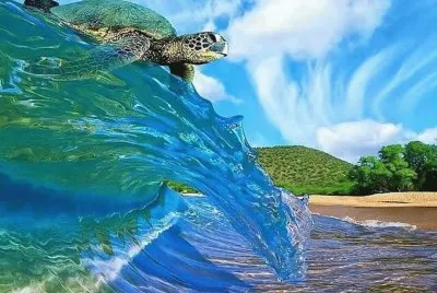 imagens jigsaw puzzle