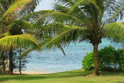 imagens jigsaw puzzle