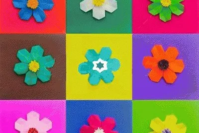 lily6