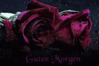 Ã¶Ã¶ Ã¶Ã¶Ã¶ Ã¶Ã¶Ã¶ Ã¶Ã¶Ã¶Ã¶ Ã¶ Ã¶Ã¶ Ã¶ Ã¶Ã¶Ã¶