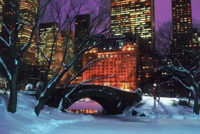new york innevata
