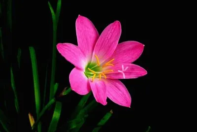 wwcw w  ww w ww w w cc ww