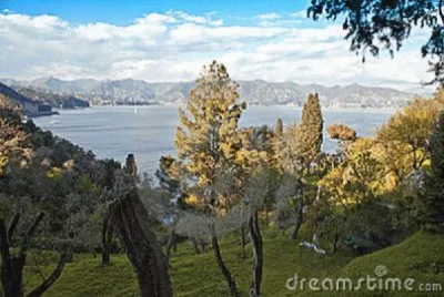 vegetaÃ§Ã£o jigsaw puzzle