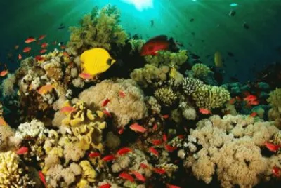 fundo do mar