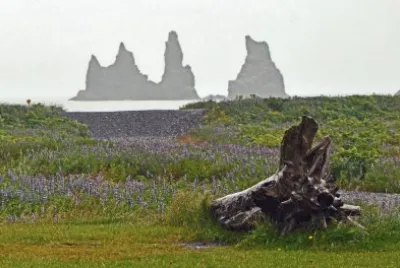 island jigsaw puzzle