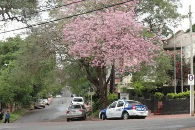 En Posadas. Misiones. Argentina