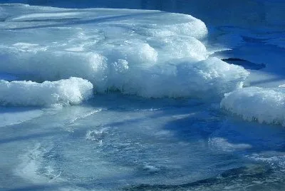Cold