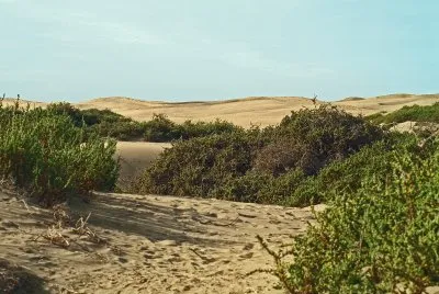 dunas maspalomas jigsaw puzzle