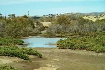 dunas maspalomas jigsaw puzzle
