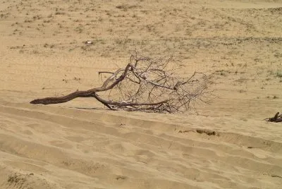 dunas maspalomas