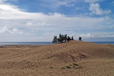 dunas maspalomas jigsaw puzzle