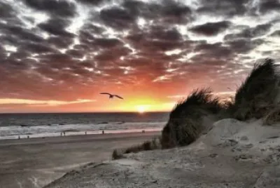 Beach Northern Germany jigsaw puzzle